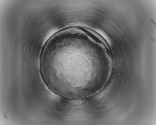 X0000091530999200708171216