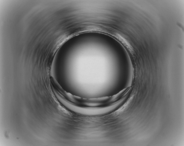 X0000091531001200708171216