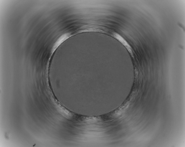 X0000091531002200708171216