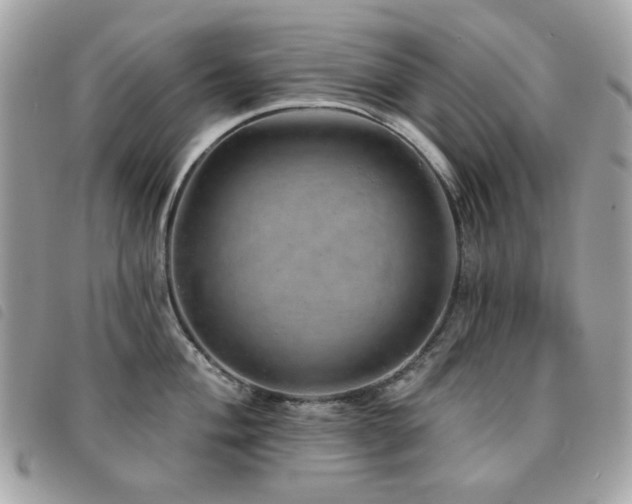 X0000091531004200708171216