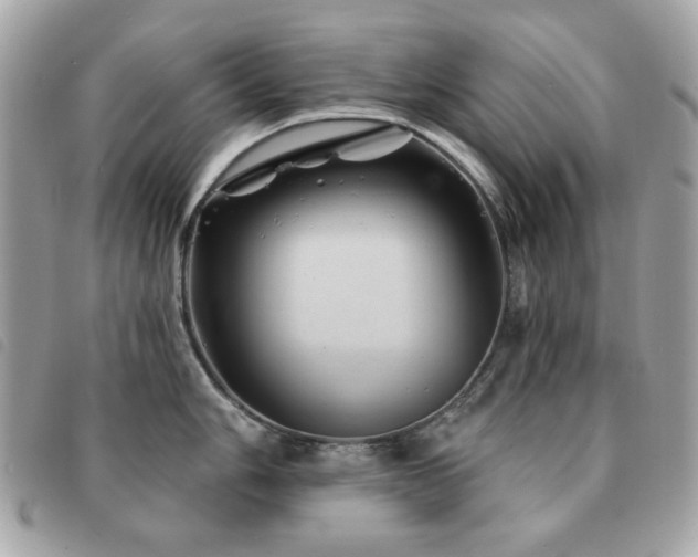 X0000091531006200708171216