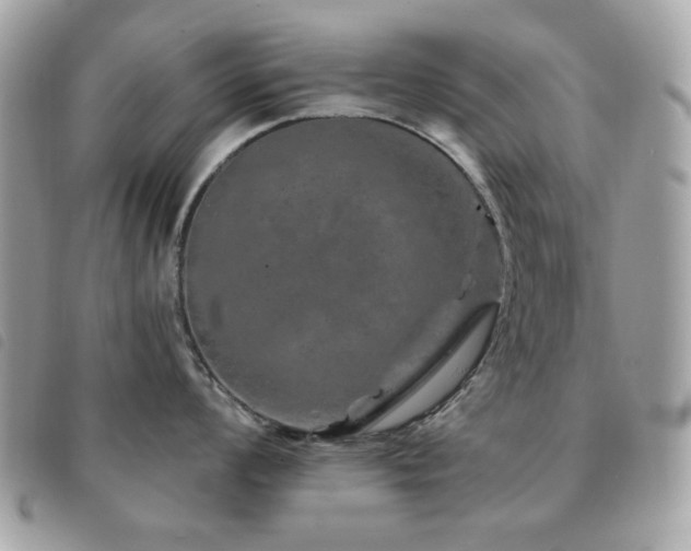 X0000091531008200708171216