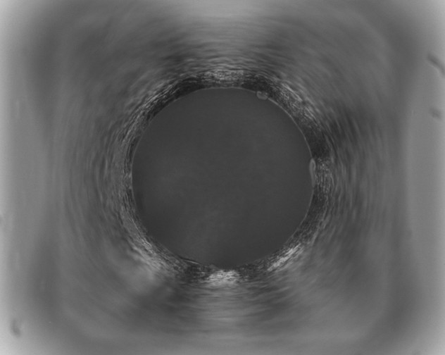 X0000091531009200708171216