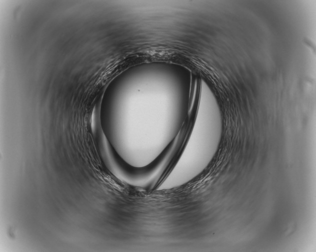 X0000091531010200708171216