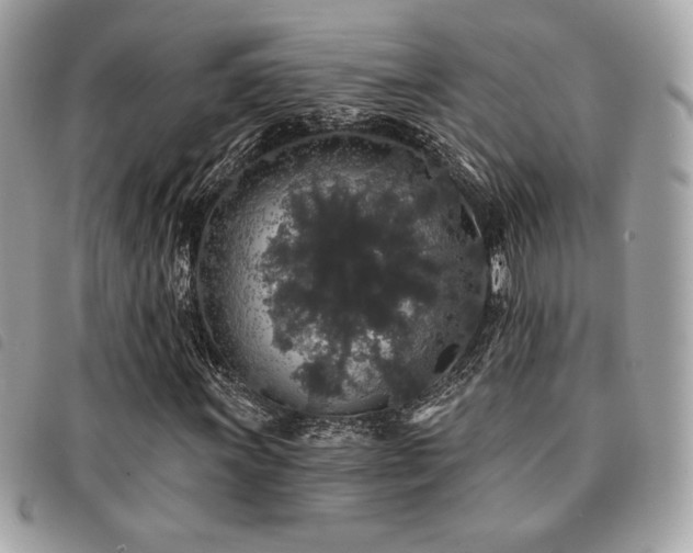 X0000091531011200708171216