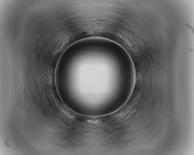 X0000091531012200708171216