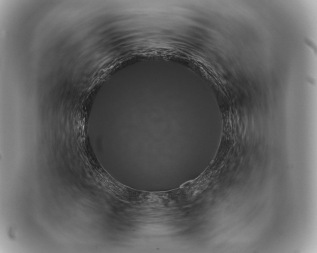 X0000091531013200708171216