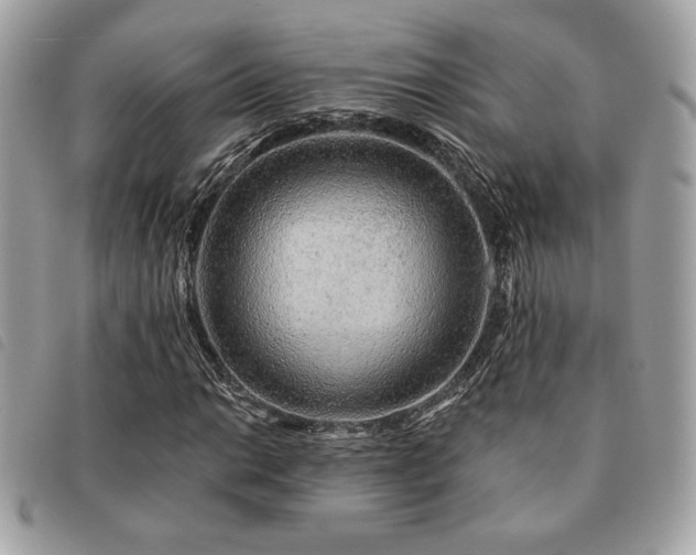 X0000091531014200708171216