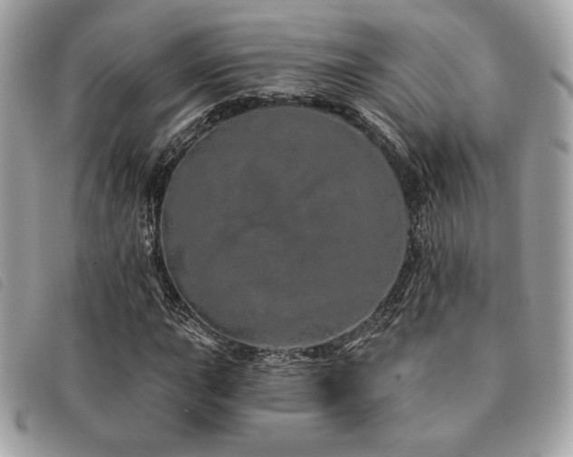 X0000091531015200708171216