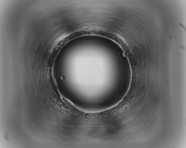 X0000091531016200708171216