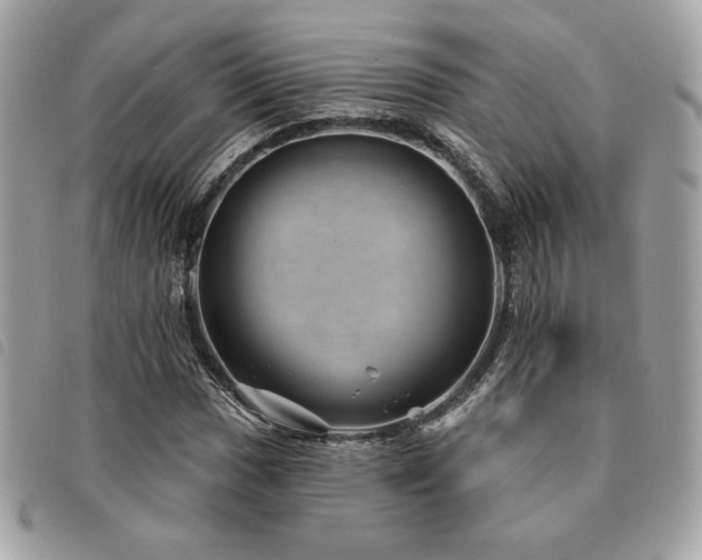 X0000091531017200708171216