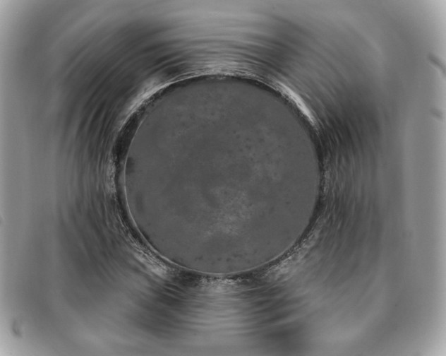 X0000091531019200708171216
