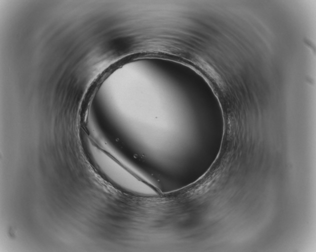 X0000091531020200708171216