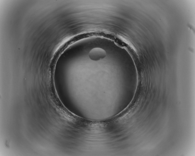 X0000091531021200708171216