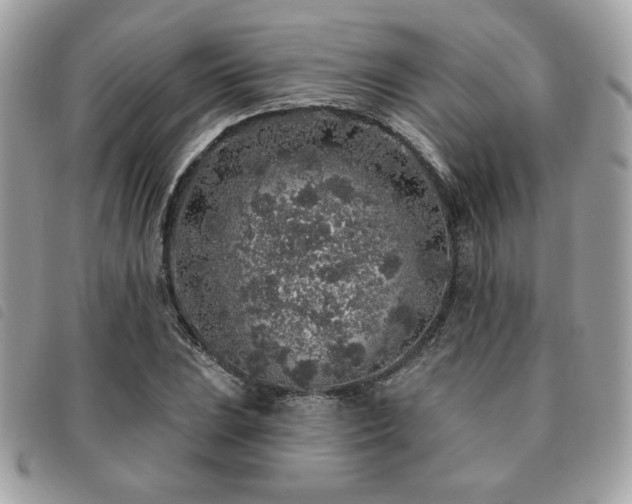 X0000091531023200708171216