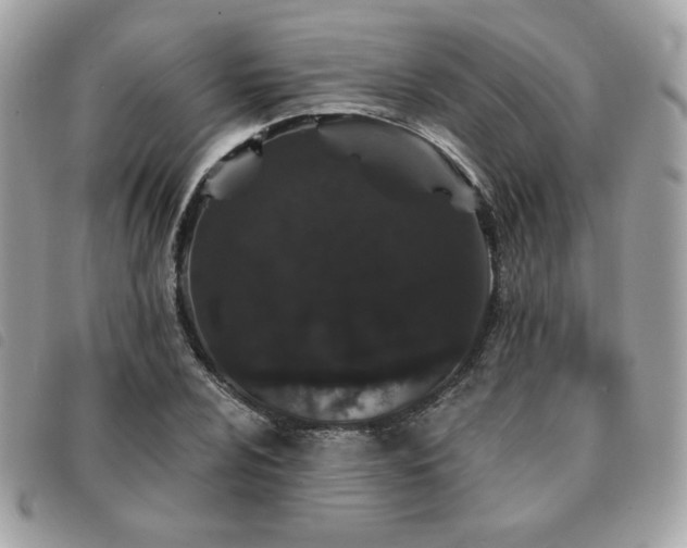 X0000091531024200708171216