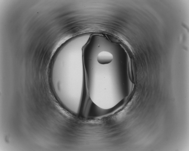 X0000091531026200708171216