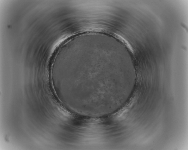 X0000091531027200708171216