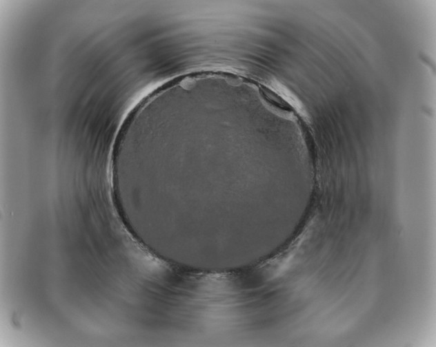 X0000091531028200708171216