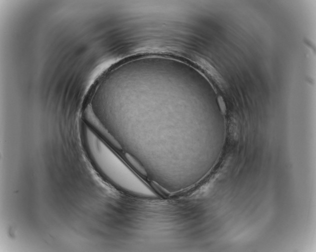 X0000091531030200708171216