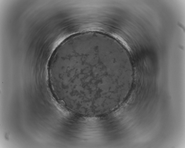 X0000091531031200708171216