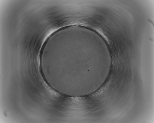 X0000091531032200708171216