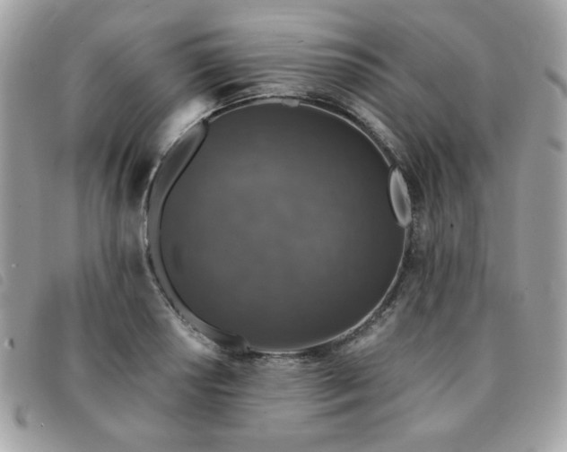 X0000091531034200708171216