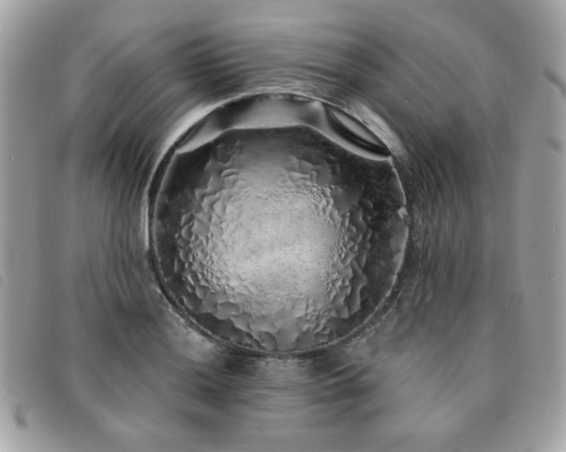 X0000091531036200708171216