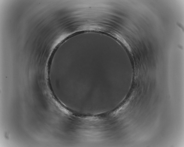 X0000091531037200708171216