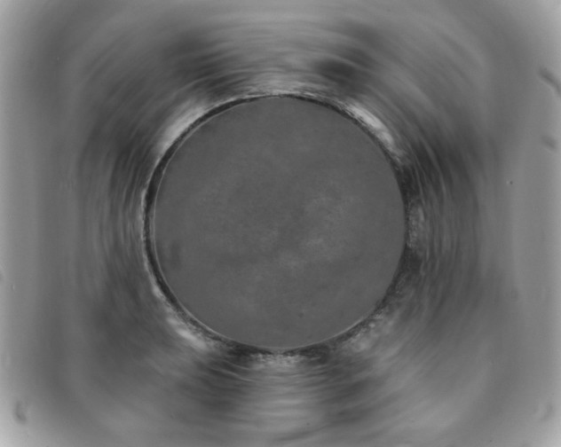 X0000091531039200708171216