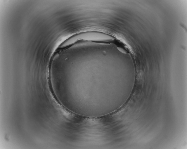 X0000091531040200708171216