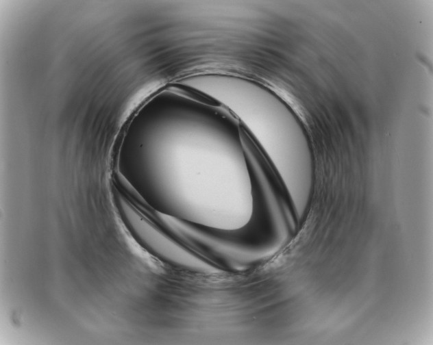 X0000091531042200708171216