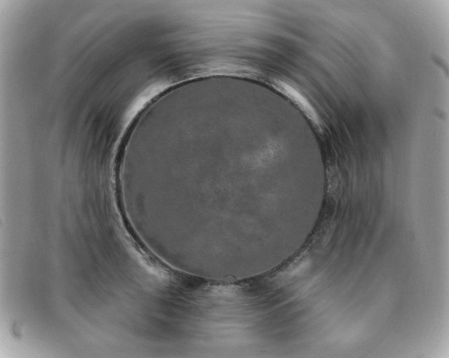 X0000091531043200708171216