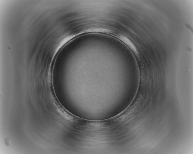 X0000091531044200708171216