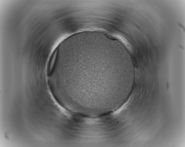 X0000091531046200708171216