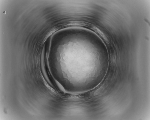 X0000091531049200708171216
