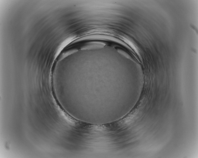 X0000091531050200708171216