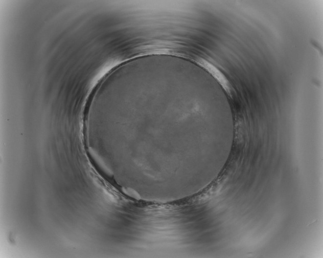 X0000091531051200708171216