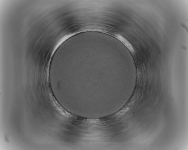 X0000091531052200708171216