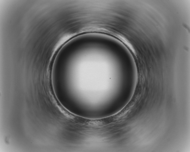 X0000091531053200708171216