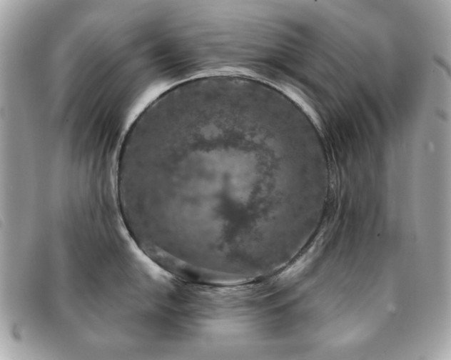 X0000091531054200708171216