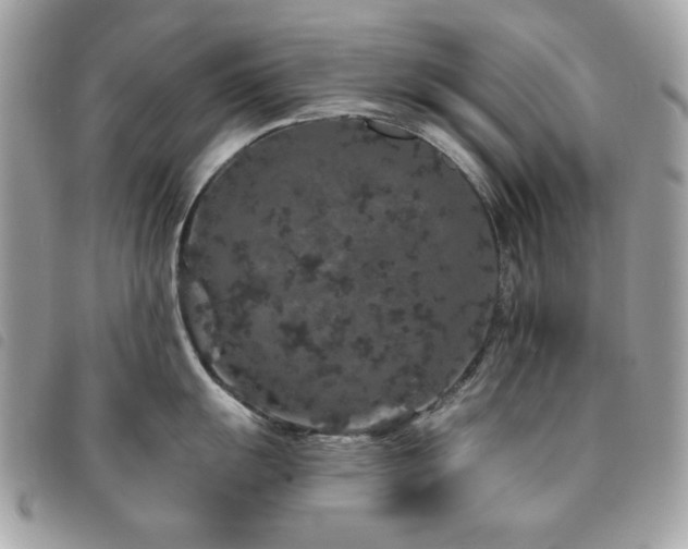 X0000091531055200708171216