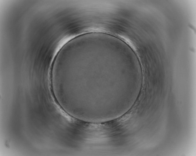 X0000091531056200708171216