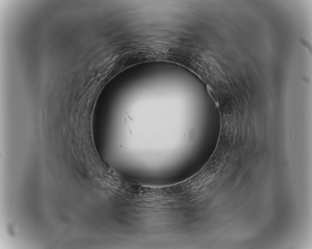 X0000091531057200708171216