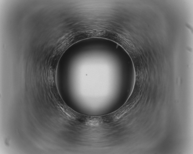 X0000091531058200708171216