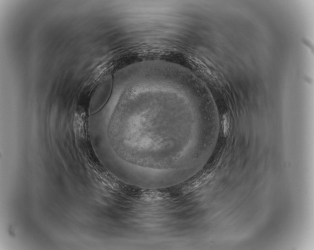 X0000091531059200708171216