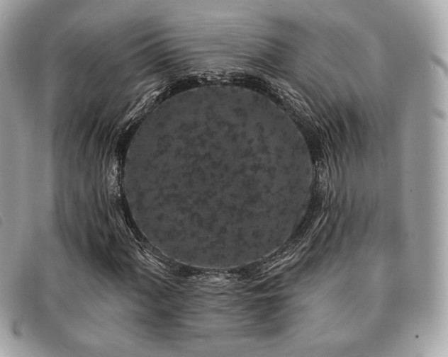 X0000091531060200708171216