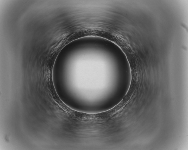 X0000091531061200708171216