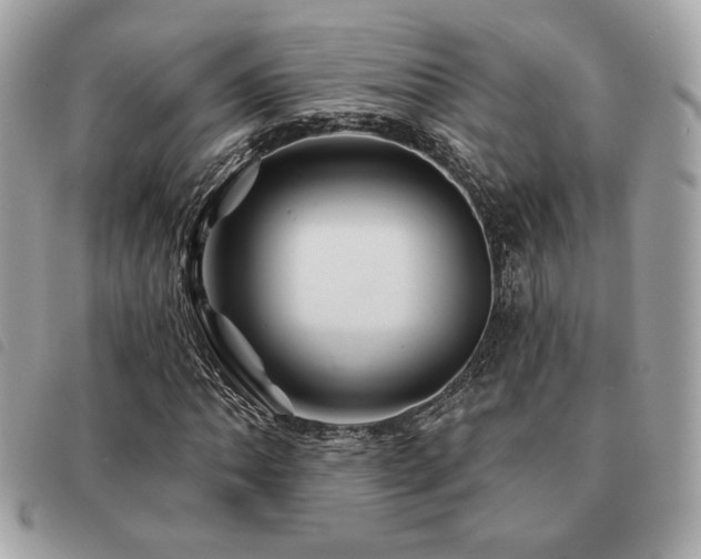 X0000091531062200708171215