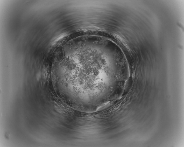X0000091531063200708171215